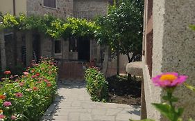A Casa De Carmen